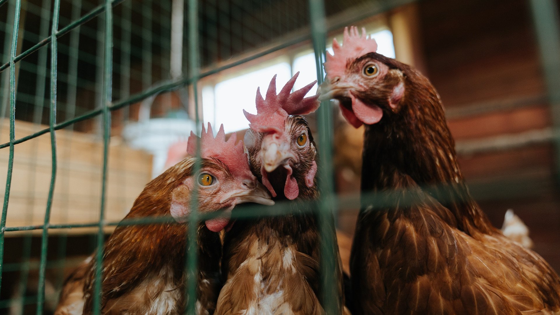 爱游戏官网-_网络大奖赛：在线互动，跨越屏幕的激战_，网络竞技大赛