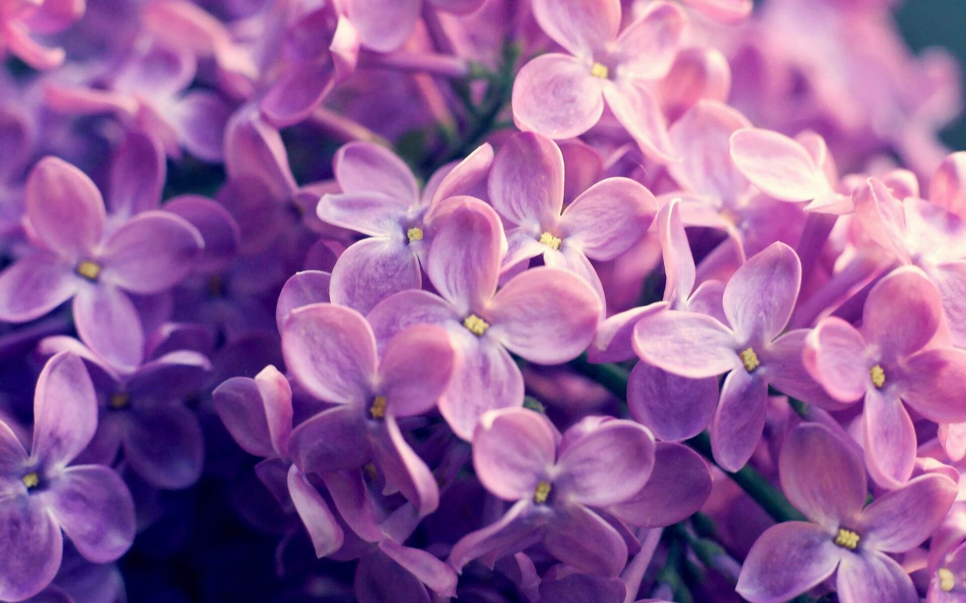 “球场趣味：明星场外趣事和奇闻趣事”