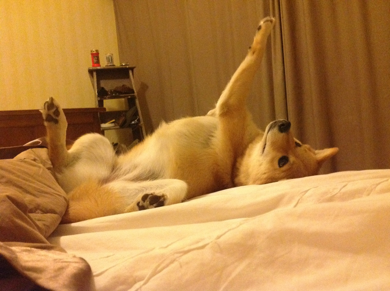 【冠军秘笈】马克·塞尔比：如何打造铁壁般的防守体系？，马克,塞尔比